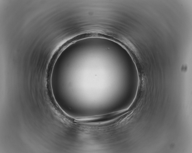X0000090471020200707201350