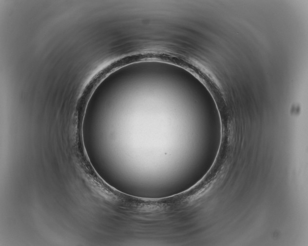 X0000090471021200707201350