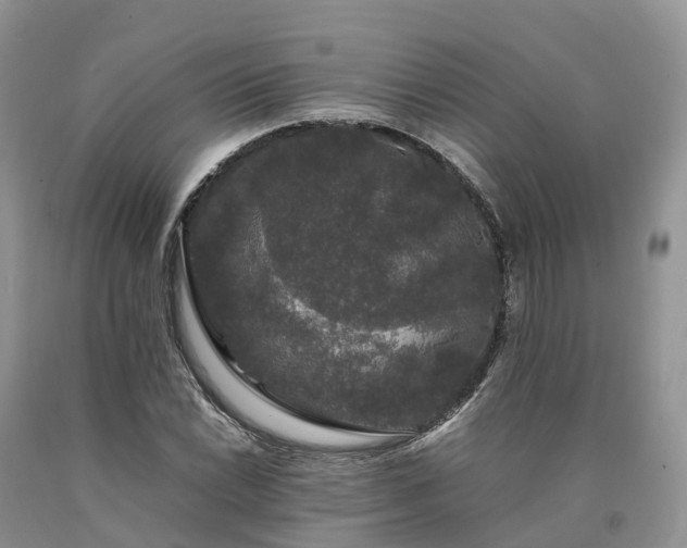 X0000090471022200707201350