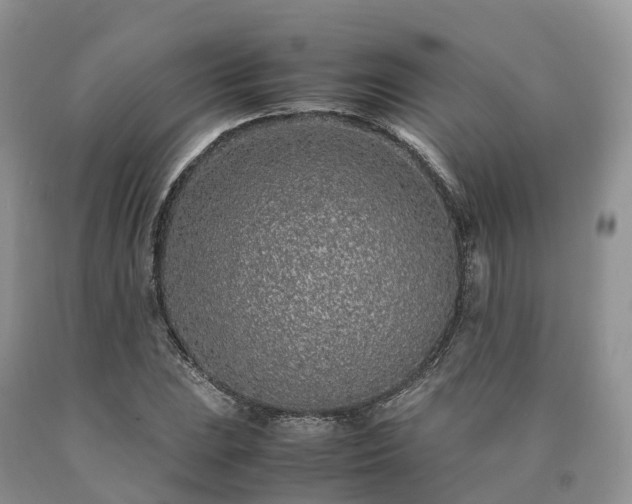 X0000090471023200707201350