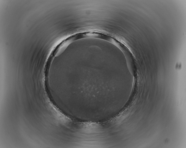 X0000090471024200707201350
