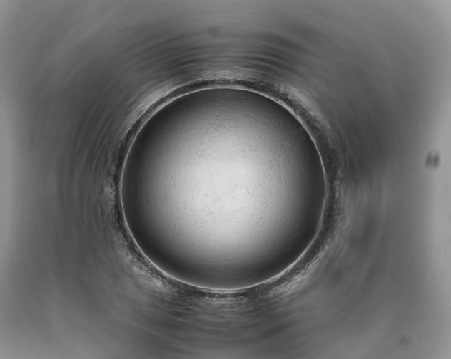X0000090471025200707201350