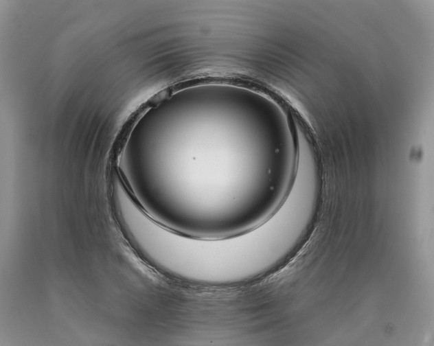 X0000090471026200707201350
