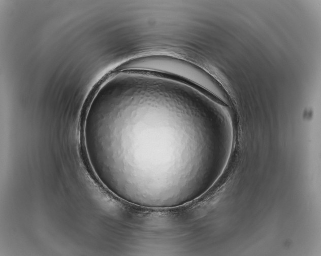 X0000090471028200707201350