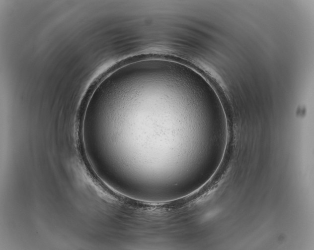 X0000090471029200707201350