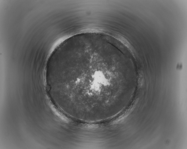 X0000090471030200707201350