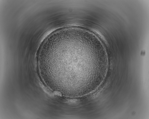 X0000090471031200707201350