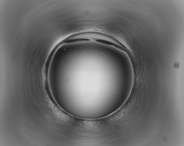 X0000090471032200707201350