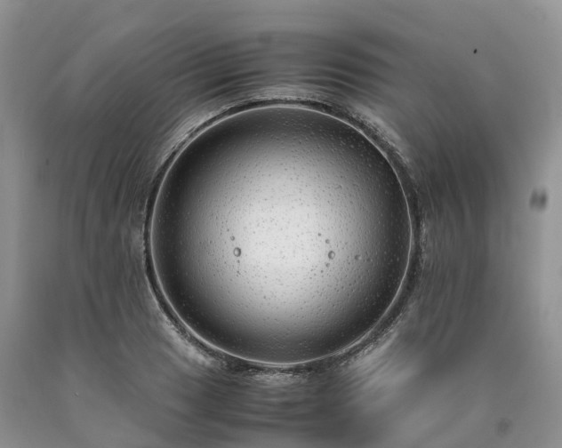 X0000090471033200707201350