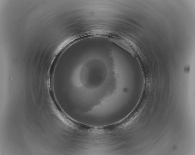 X0000090471034200707201350