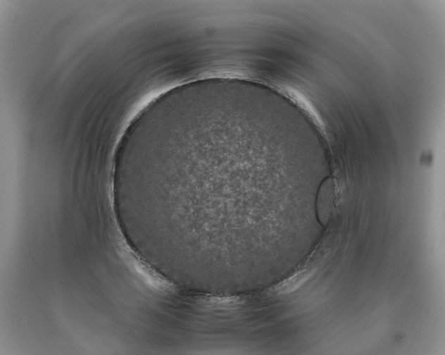X0000090471035200707201350