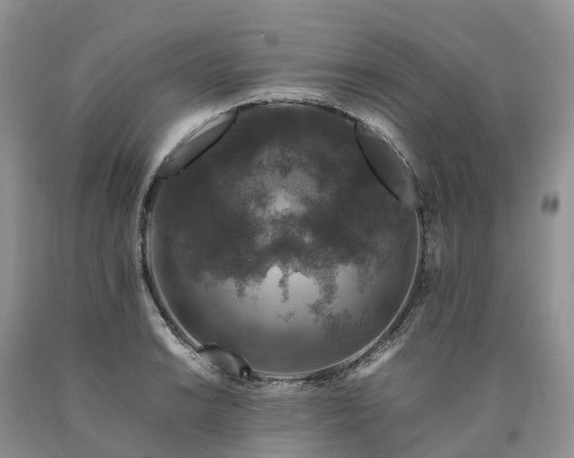 X0000090471038200707201350