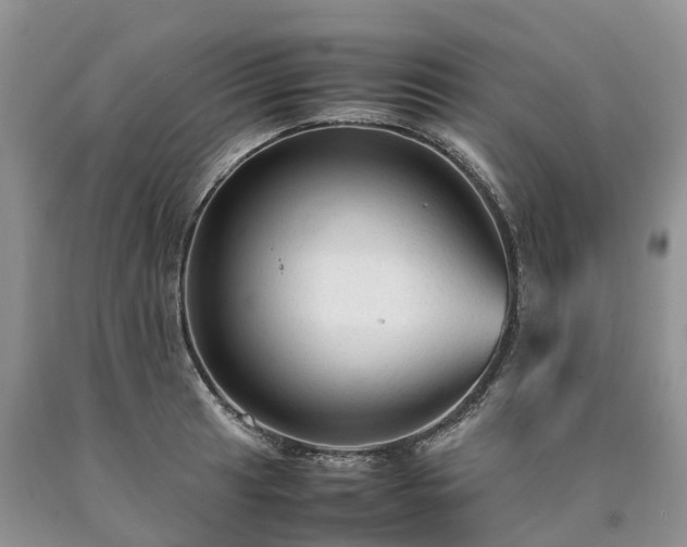 X0000090471041200707201350