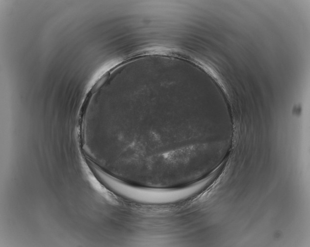 X0000090471042200707201350