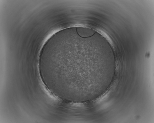 X0000090471043200707201350