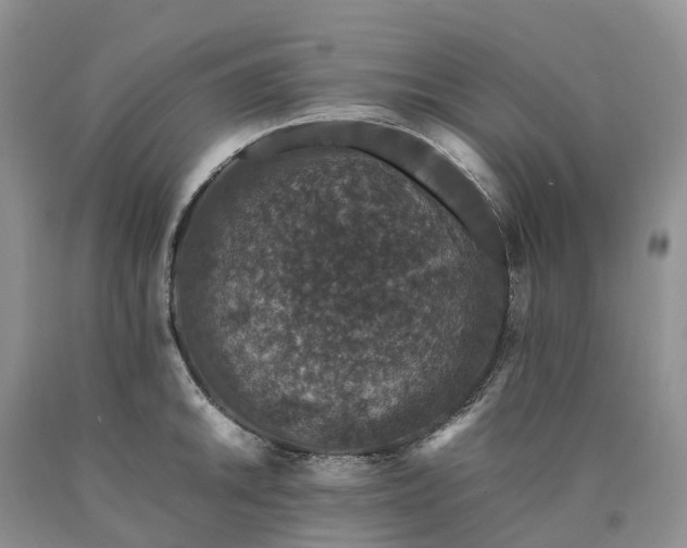 X0000090471046200707201350