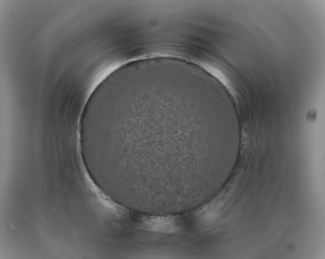 X0000090471047200707201350
