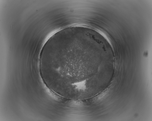 X0000090471050200707201350