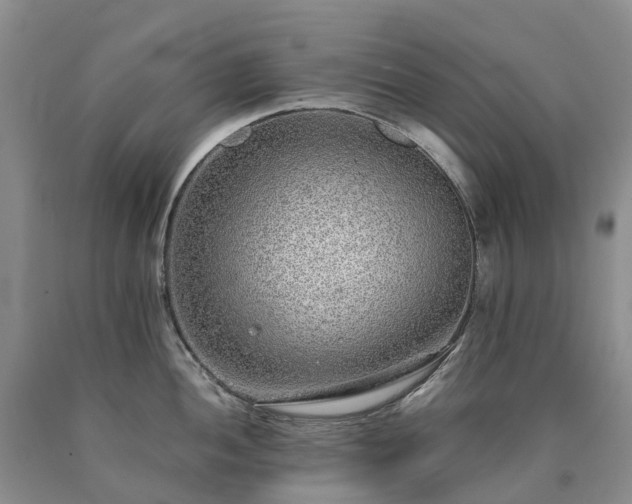 X0000090471052200707201350