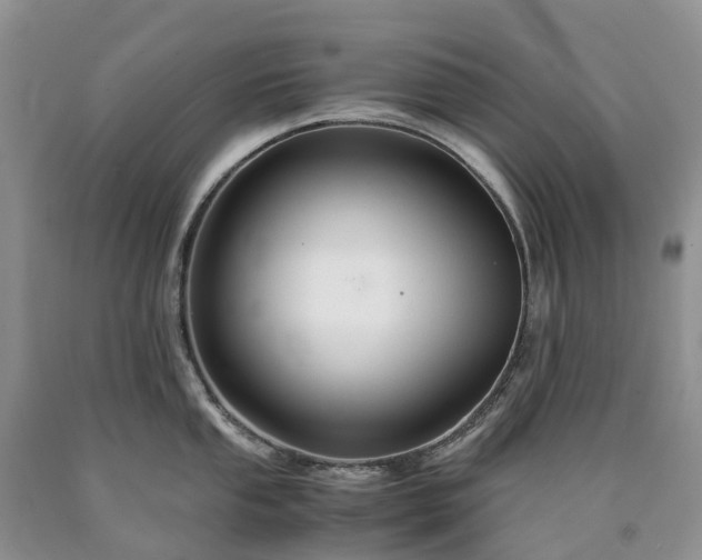 X0000090471053200707201350