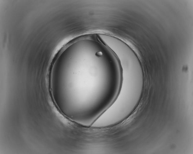 X0000090471054200707201350