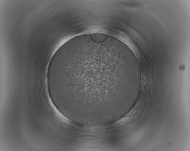 X0000090471055200707201350