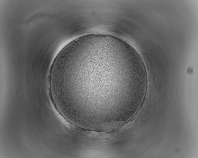 X0000090471056200707201350