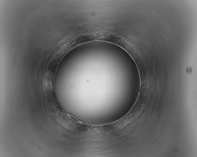 X0000090471058200707201350
