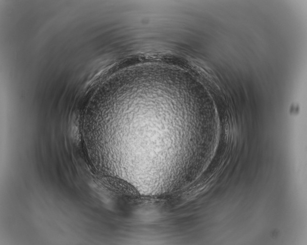 X0000090471060200707201350