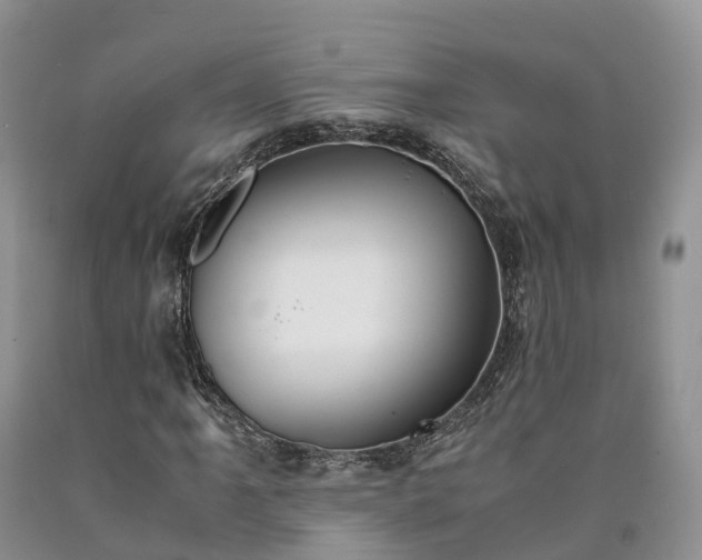 X0000090471061200707201350