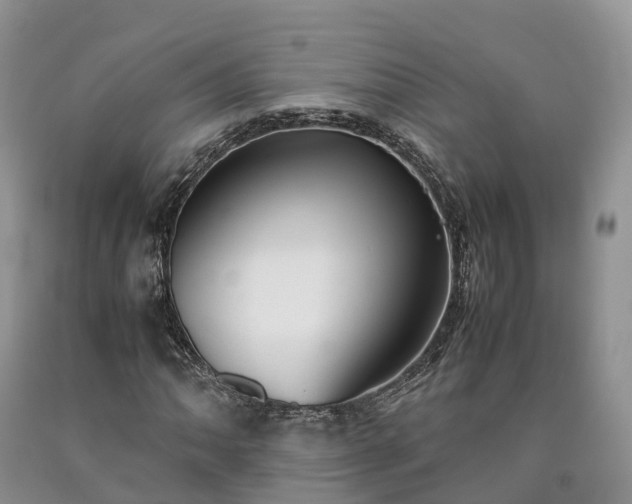 X0000090471062200707201350