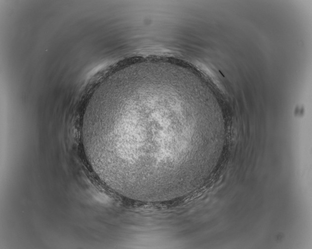 X0000090471063200707201350