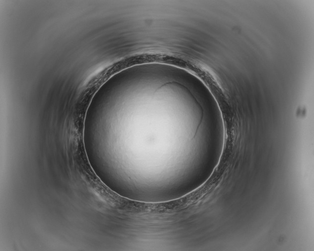 X0000090471064200707201350