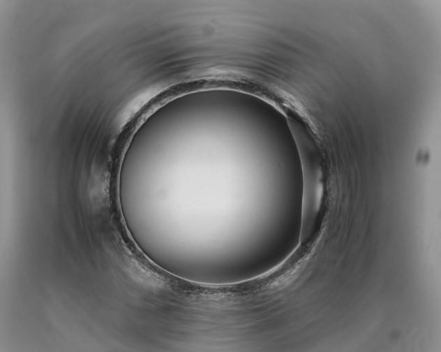 X0000090471066200707201350