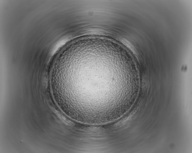 X0000090471067200707201350
