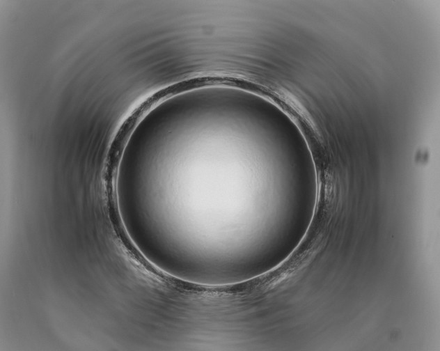 X0000090471068200707201350