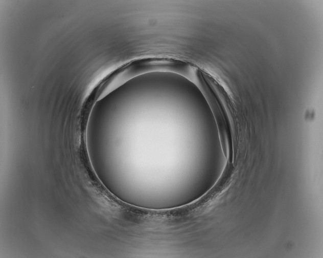 X0000090471069200707201350