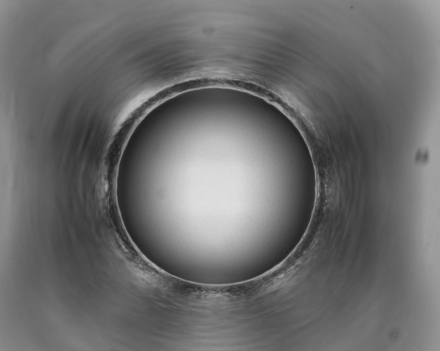 X0000090471070200707201350