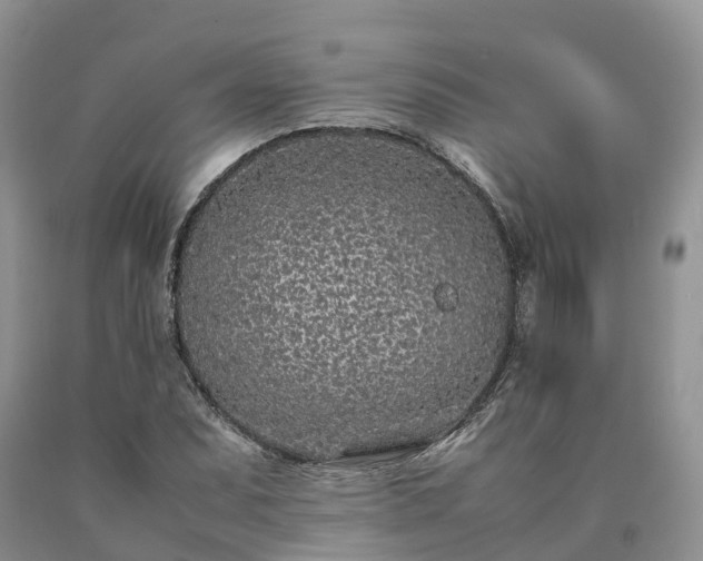 X0000090471071200707201350