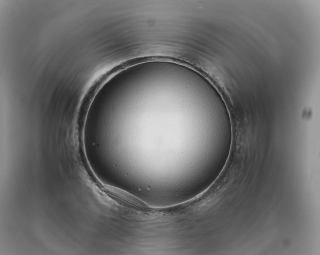 X0000090471072200707201350