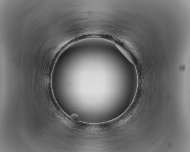 X0000090471073200707201350