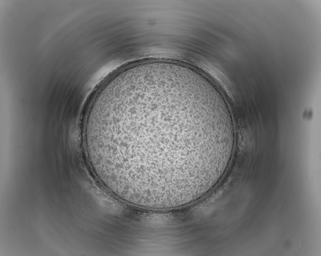 X0000090471074200707201350