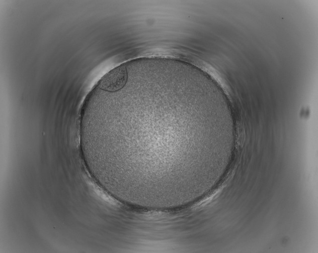X0000090471075200707201350
