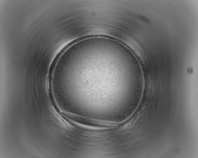 X0000090471076200707201350