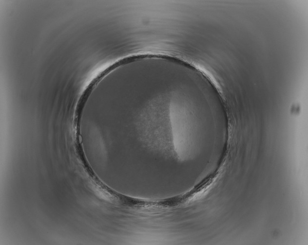 X0000090471077200707201350