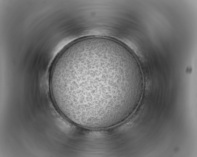 X0000090471078200707201350