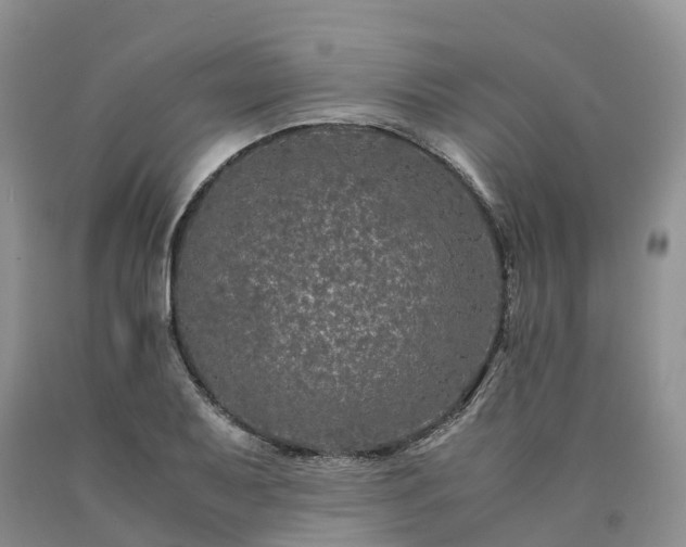 X0000090471079200707201350