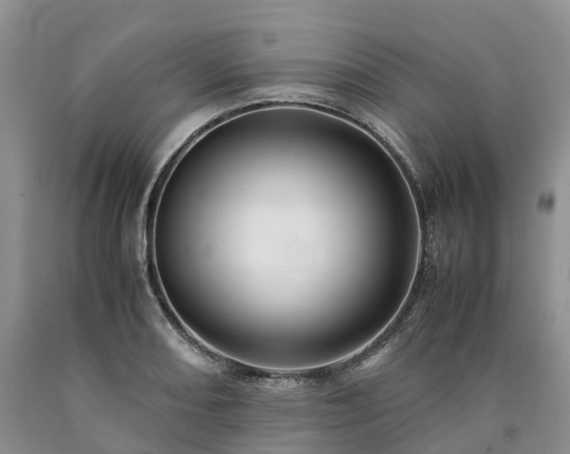 X0000090471082200707201350