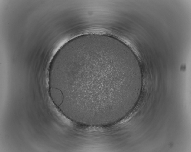 X0000090471083200707201350