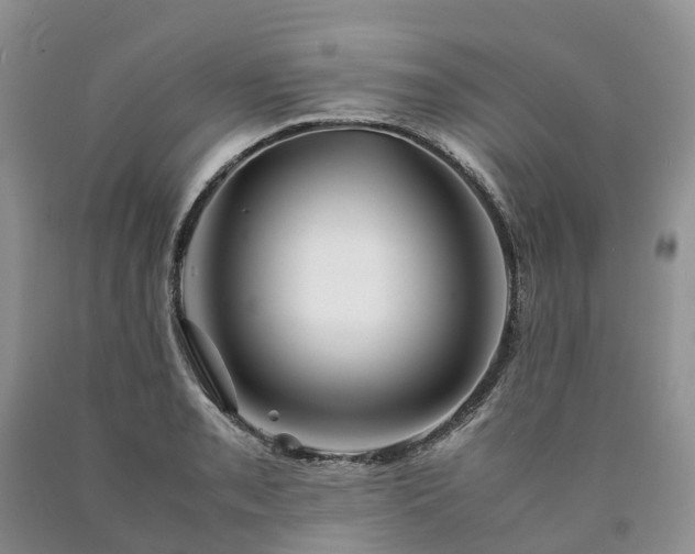 X0000090471085200707201350